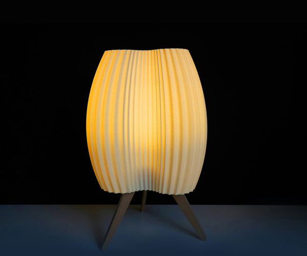 A Lamp Shade Printed by Adventurer 5M Pro 3D Printer